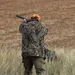 Beretta 12, Thompson 300winmag, Hi point 9mm
