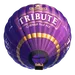 Carabine a plomb parachute de marque Beeman modele 1048 Carabine a plomb parachute de marque Beeman modele 1048