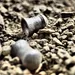 Browning X Bolt calibre 30-06 3006 Browning X Bolt calibre 30-06 3006