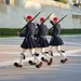 Carabine à plombs