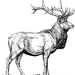 811727.jpg