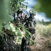 carabine ENFIELD cal 303 carabine ENFIELD cal 303