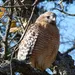 Ensemble complet de chasse Ensemble complet de chasse