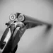 Carabine Mossberg 702 Plinkster Tacticool Custom Carabine Mossberg 702 Plinkster Tacticool Custom