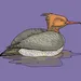 Guide de chasse aux canards « Duck Boat » 2013 Guide de chasse aux canards « Duck Boat » 2013