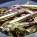 CARABINE 300 MAG CARABINE 300 MAG