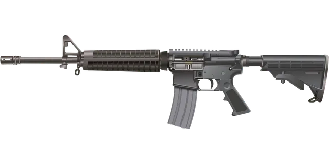 Fusil /Arme a feu Fusil /Arme a feu