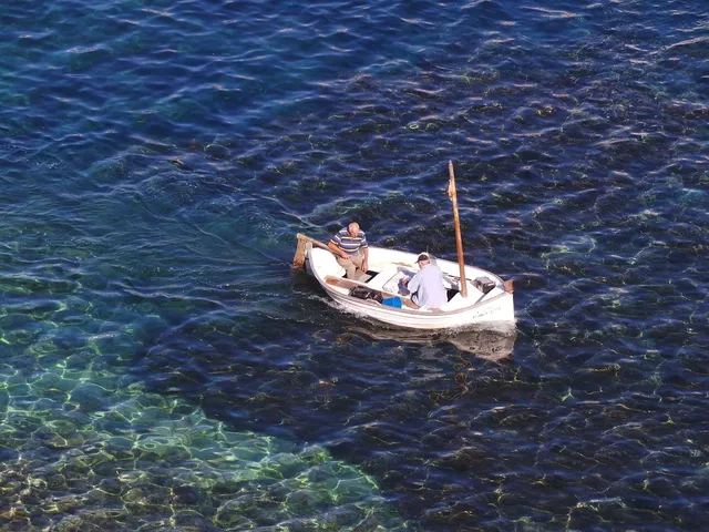 canne à pêche canne à pêche