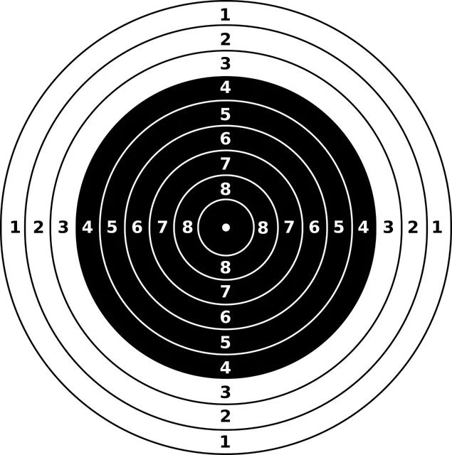 fusil poudre noir fusil poudre noir