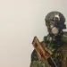 CARABINE BROWNING 308