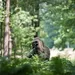 CARABINE REMINGTON MOD. 700 XCR STAINLESS STEEL CAL. .300 WSM CARABINE REMINGTON MOD. 700 XCR STAINLESS STEEL CAL. .300 WSM