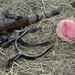 FUSILS Browning citori 625 sporting 12g BERETTA S686 SPECIAL 20, BENELLI LEGAY FUSILS Browning citori 625 sporting 12g BERETTA S686 SPECIAL 20, BENELLI LEGAY