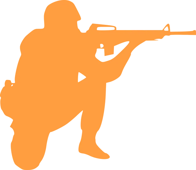 Carabine tikka t3 calibre .270