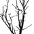 Une des bâtisses (l\'octogone)