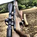 remington vls 22-250