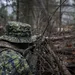 carabine Browning carabine Browning