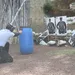 Lot de fusils cal. 12 à un coup