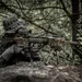 2 carabines Remington 2 carabines Remington
