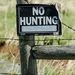 Fusil de chasse avec Lunette