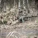 CARABINE CARABINE