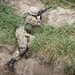 carabine 300 mag et fusil 12 à pompe
