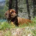 Accessoires de chasse
