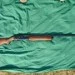 Browning Gold Hunter