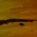 carabine 308 winchester model 100