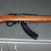 Ruger 10/22