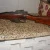 British .303 MK2
