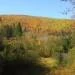 LOTS A BOIS A LOUER POUR CHASSE AUTOMNE 2016